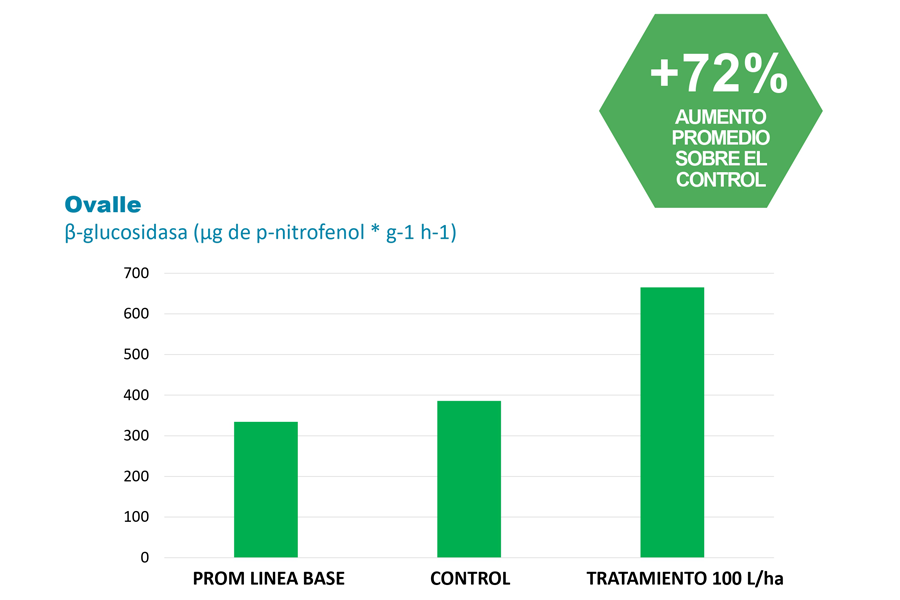 Ensayos en Paltos