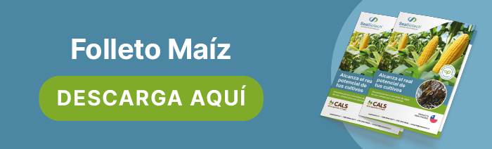 Folleto Maíz