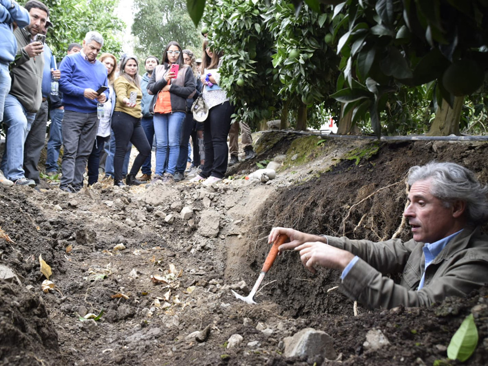 Día de campo en Pichidegua