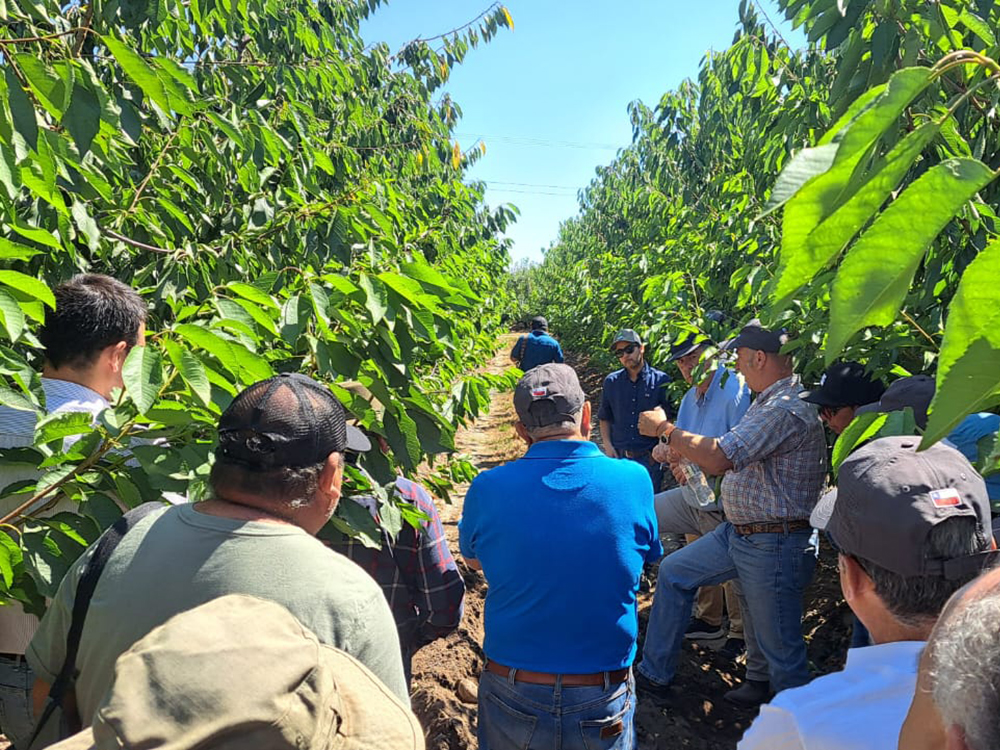 SeaBiotech y CALS lideran exitosa jornada técnica de postcosecha